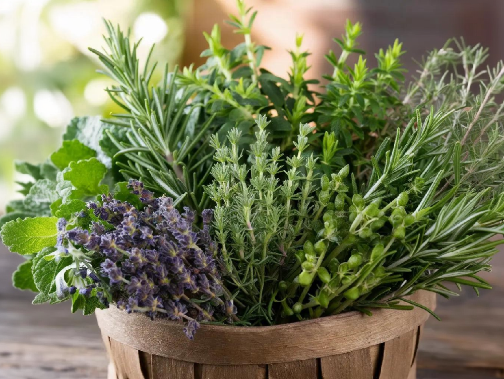 Panier en bois rempli de lavande et autres herbes aromatiques.